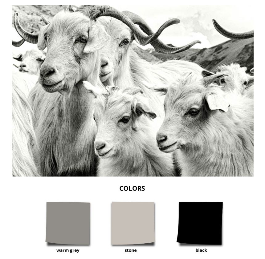 Logoentwicklung WhatWeAre